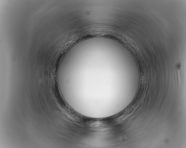 X0000091210460200708091119