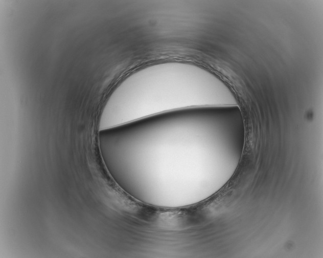 X0000091210461200708091119