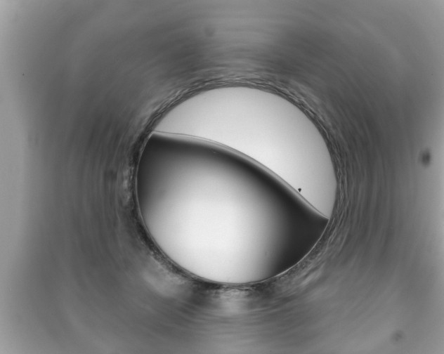 X0000091210462200708091119