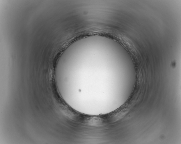 X0000091210463200708091119