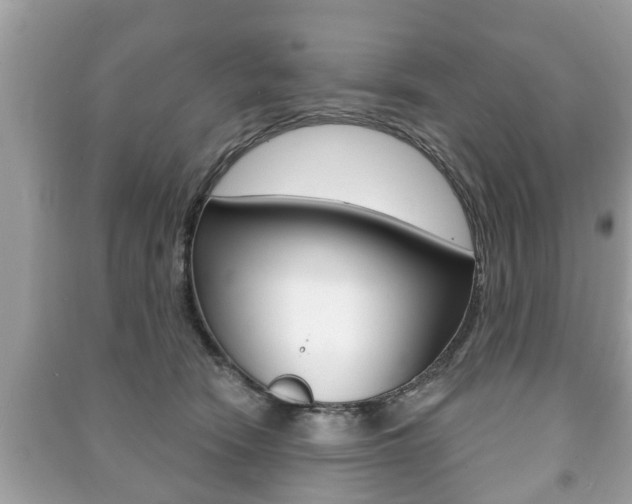 X0000091210466200708091119