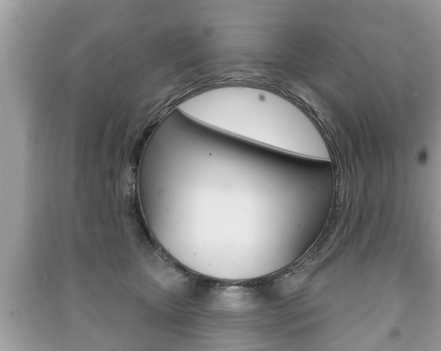 X0000091210467200708091119