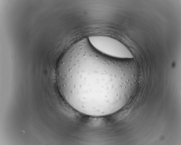 X0000091210469200708091119