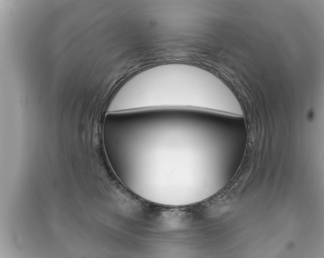 X0000091210470200708091119