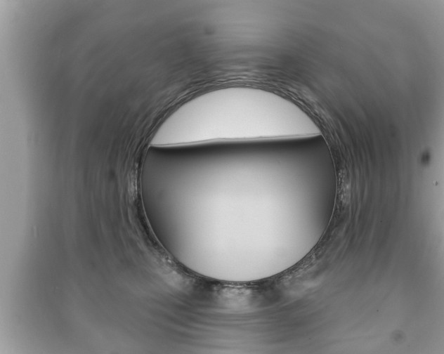 X0000091210471200708091119