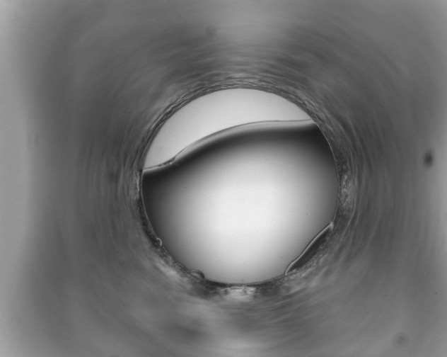 X0000091210474200708091119