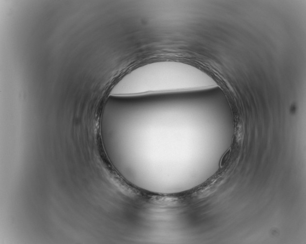 X0000091210476200708091119