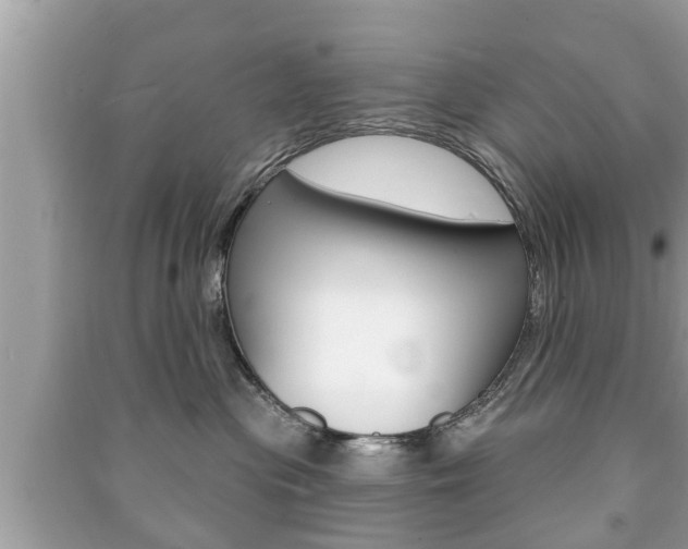 X0000091210477200708091119