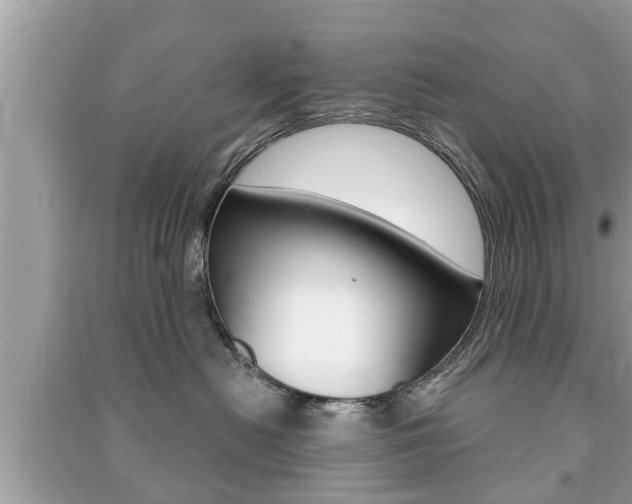 X0000091210478200708091119