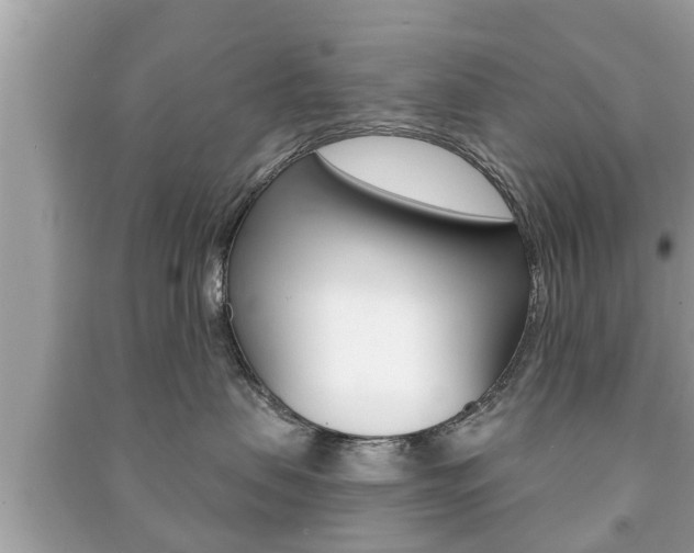 X0000091210479200708091119
