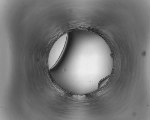X0000091210480200708091119