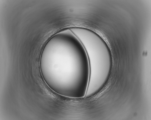 X0000091210481200708091119