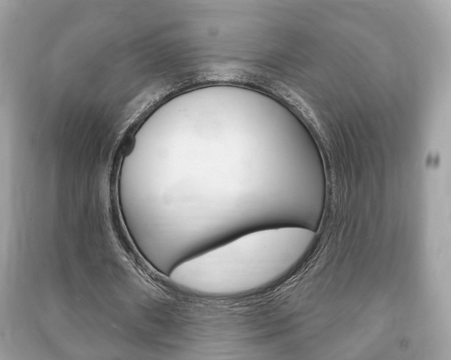 X0000091210482200708091119