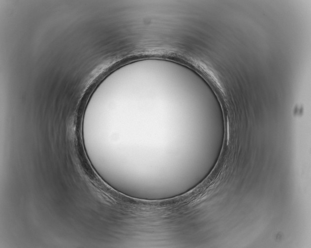 X0000091210483200708091119