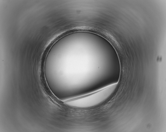 X0000091210484200708091119