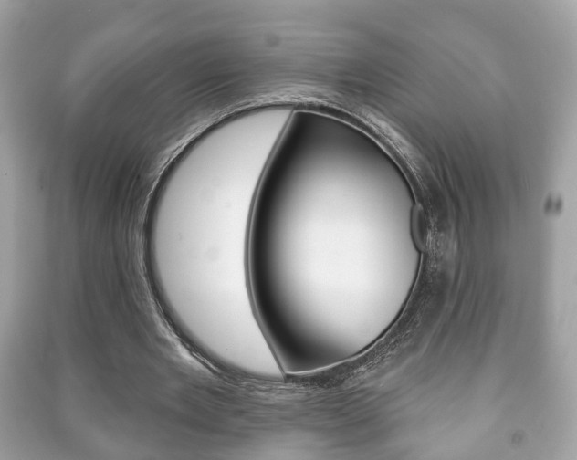 X0000091210485200708091119