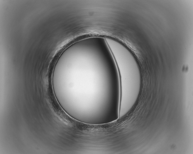 X0000091210488200708091119