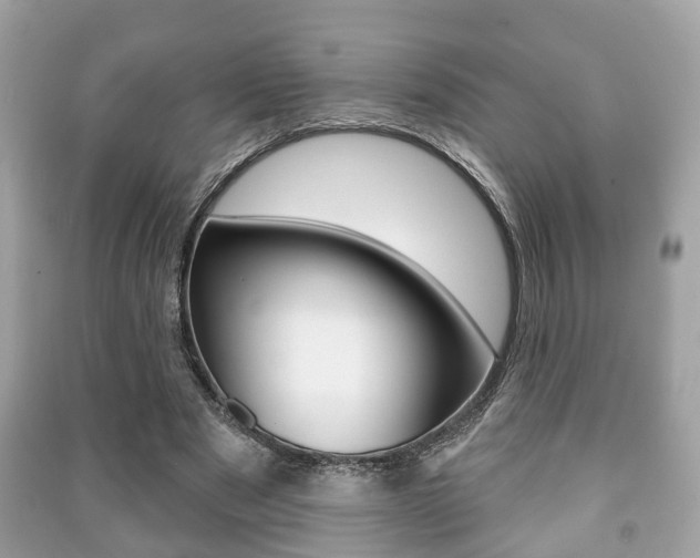 X0000091210489200708091119