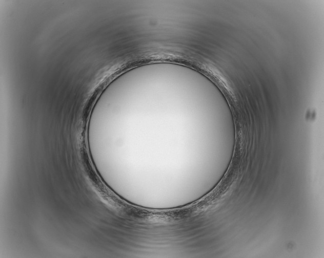 X0000091210490200708091119