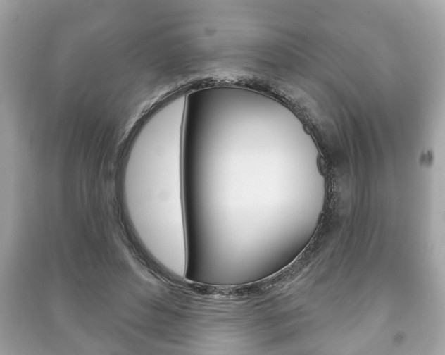 X0000091210496200708091118