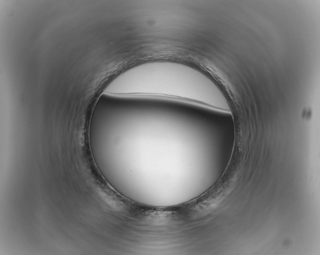 X0000091210497200708091118