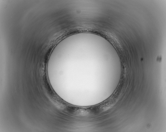 X0000091210498200708091118