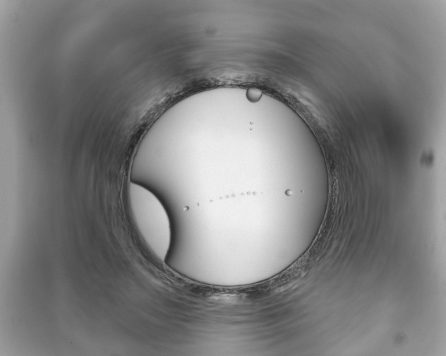 X0000091210499200708091118