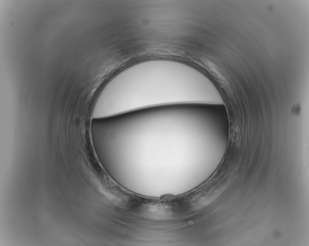 X0000091210500200708091118