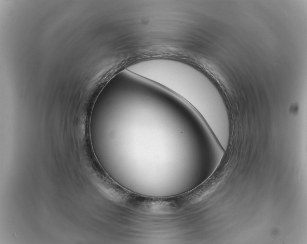 X0000091210501200708091118