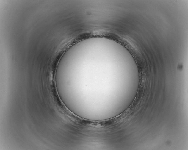 X0000091210502200708091118