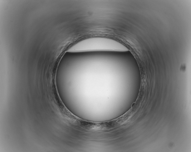 X0000091210504200708091118