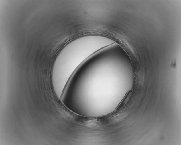X0000091210505200708091118