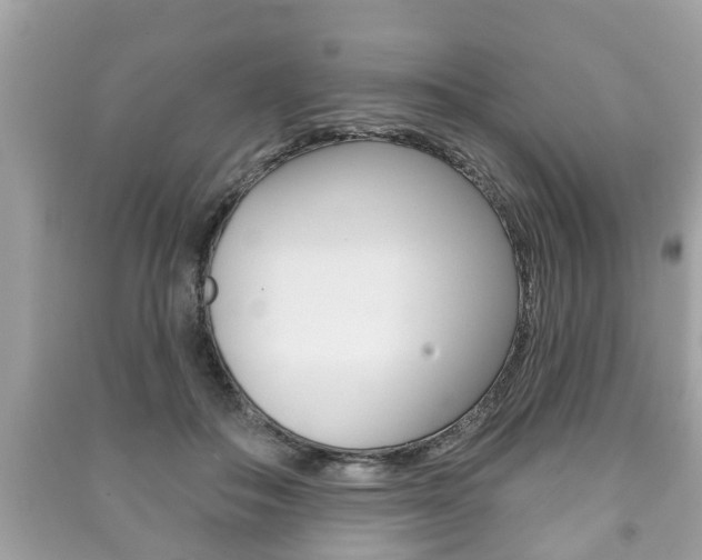 X0000091210506200708091118