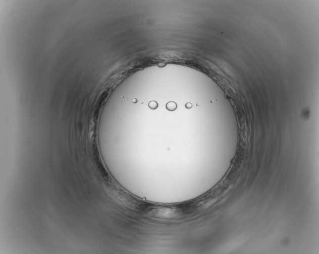 X0000091210507200708091118