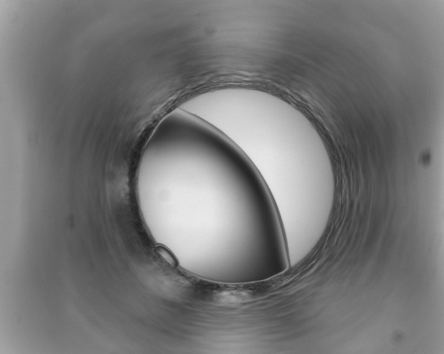 X0000091210508200708091118