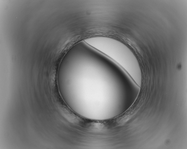X0000091210509200708091118