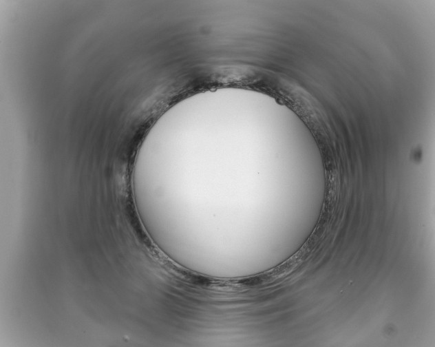 X0000091210510200708091118