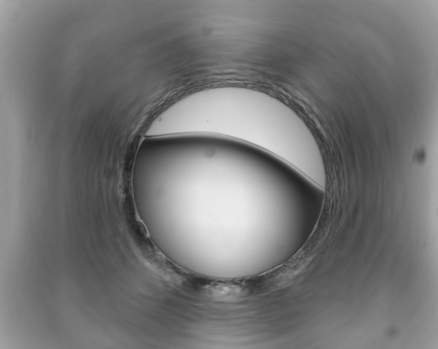 X0000091210512200708091118