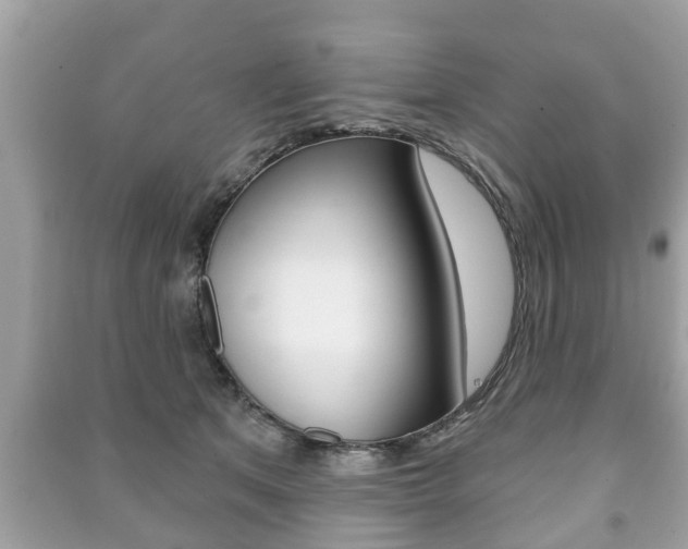 X0000091210513200708091118