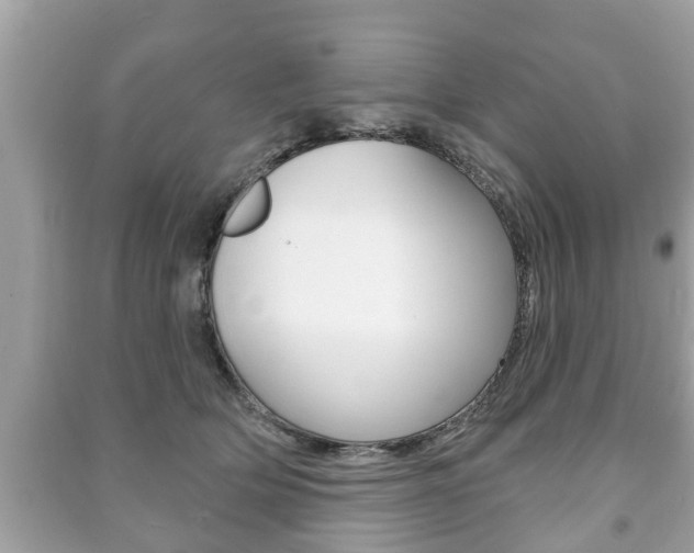 X0000091210514200708091118