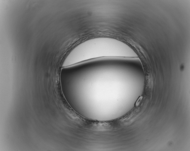 X0000091210517200708091118