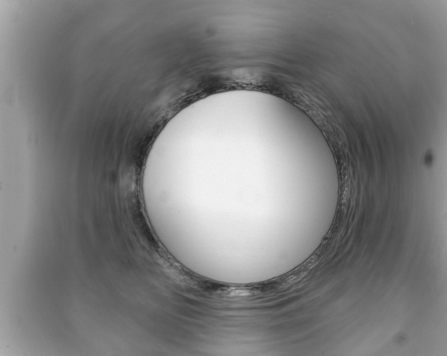 X0000091210518200708091118