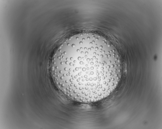 X0000091210519200708091118