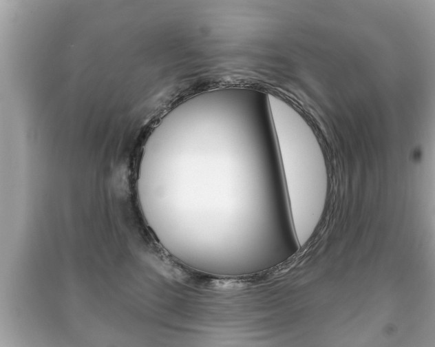 X0000091210520200708091118