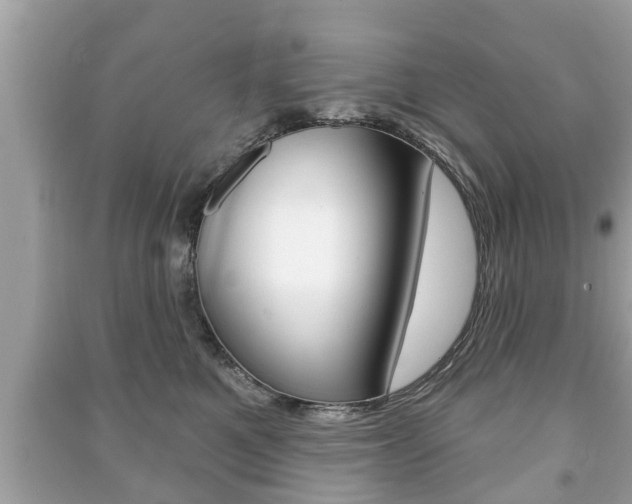 X0000091210521200708091118