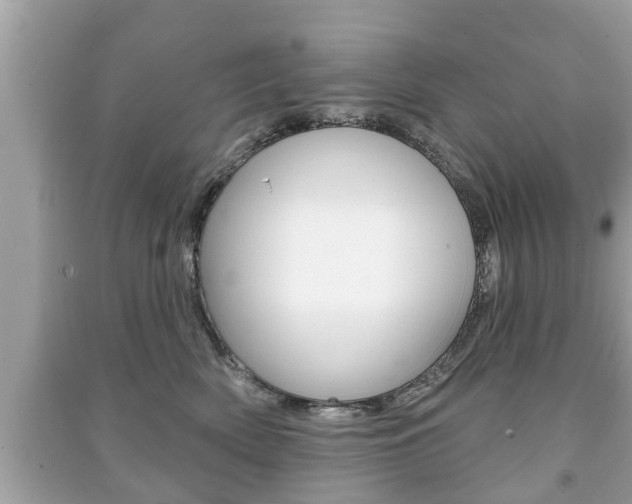 X0000091210522200708091118