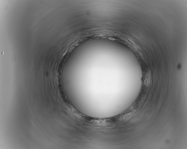 X0000091210524200708091118