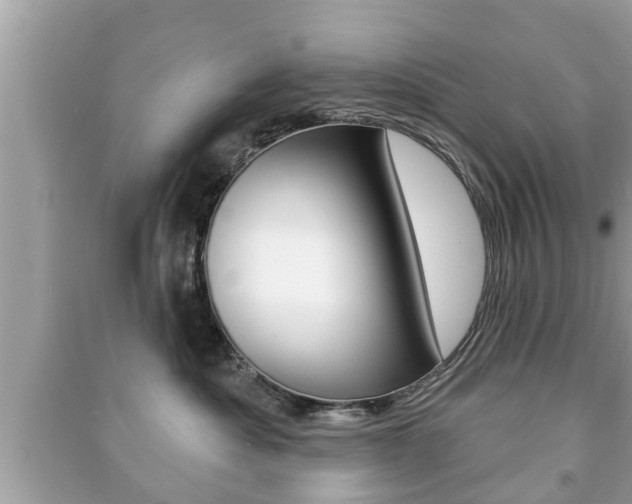 X0000091210525200708091118