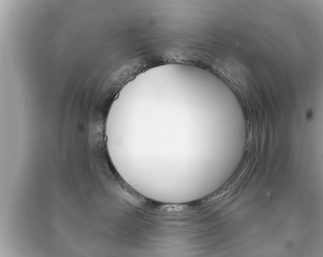 X0000091210526200708091118