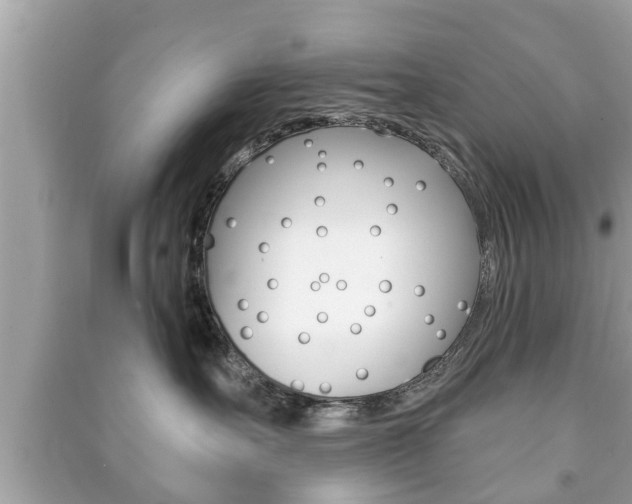 X0000091210527200708091118